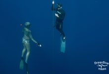 Photo of Что такое школа фридайвинга и её основные задачи