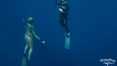Photo of Что такое школа фридайвинга и её основные задачи