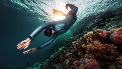 Photo of Что такое школа фридайвинга и почему она важна
