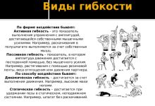 Photo of Гибкость и разнообразие в режиме езды