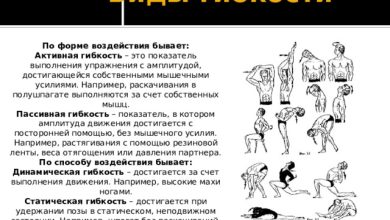 Photo of Гибкость и разнообразие в режиме езды